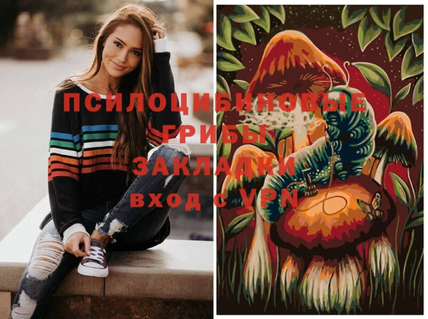 а пвп мука Гусев