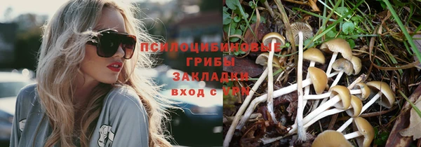 прущая мука Гусь-Хрустальный