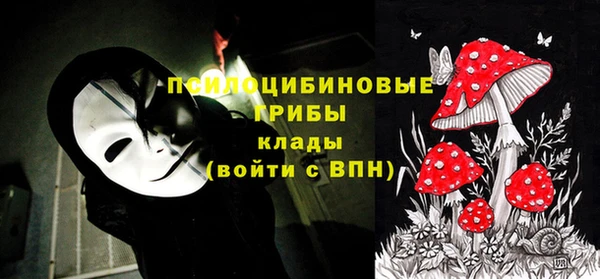 мяу мяу мука Гусиноозёрск