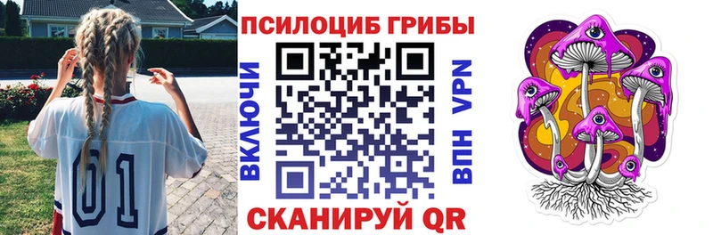 Псилоцибиновые грибы Cubensis  Купить закладки  Кондрово 