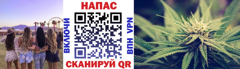 Конопля конопля Кондрово